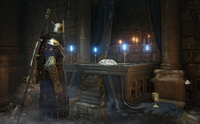 Elden Ring Nightreign 12