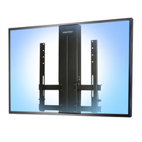 Ergotron 1