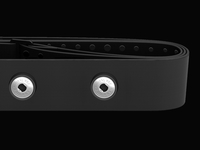 Polar 5