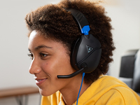 Turtle Beach 18