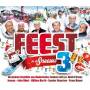 Various - Feest In De Sneeuw 3