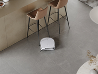 Ecovacs 1