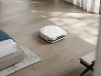 Ecovacs 10