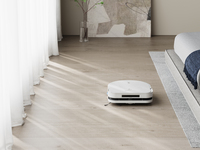 Ecovacs 22