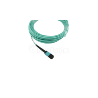 Blueoptics 3