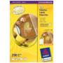 Avery Zweckform - CD/DVD Labels Classic Size - CD/DVD-Etiketten - wei - 100 Stck. (L6043-100)