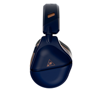 Turtle Beach 12