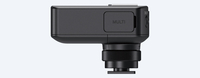 Sony 6