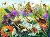 Ravensburger 1