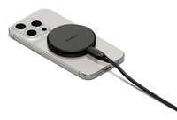 Cygnett 1