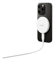 Cygnett 2