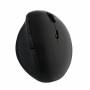 Logilink - Ergonomische Funk-Maus, 2.4 GHz, 1600dpi [DE-Version, German Keyboard]