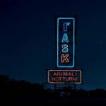 Fast Animals And Slow Kid - Animali Notturni