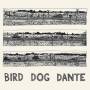 Bird Dog Dante 1