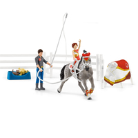 Schleich 21
