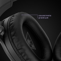 Turtle Beach 1