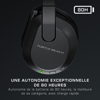 Turtle Beach 1