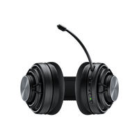 Turtle Beach 14