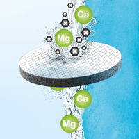 Brita 11