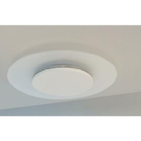 Synergy 21 Led - Rundleuchte transparent 24W RL nw