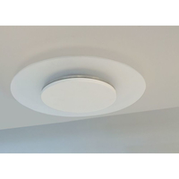 Synergy 21 Led 1