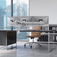 Ergotron 2