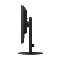 Eizo 2