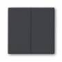 Busch Jaeger - 1751-0-2930 - Tasten - Anthrazit - 63 mm - 63 mm - 1 Stck(e)