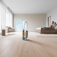 Dyson 2