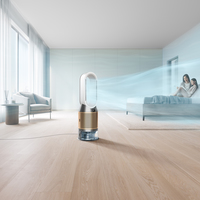 Dyson 3
