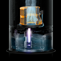 Dyson 12