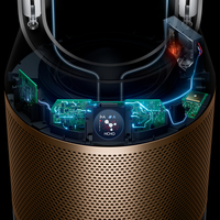 Dyson 13
