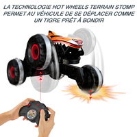 Hot Wheels 1