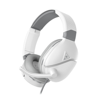 Turtle Beach 1