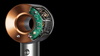 Dyson 17