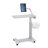 Ergotron 2