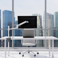 Ergotron 2