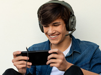 Turtle Beach 29