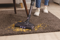 Hoover 28
