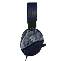 Turtle Beach 25