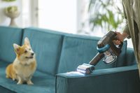 Hoover Sda 40