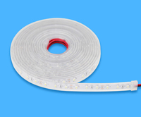 Flex Strip kaltwei DC12V 24W IP65 1