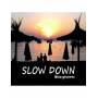 V / A - Slow Down Ibiza Grooves