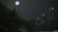 Mmorpg 1