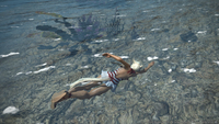 Mmorpg 6