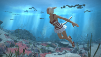 Mmorpg 7