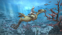 Mmorpg 8