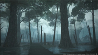 Mmorpg 14