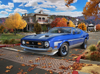 Revell 07699 71 Mustang Boss 351 Automodell Bausatz 1:25 (07 12