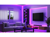Philips Lighting 4